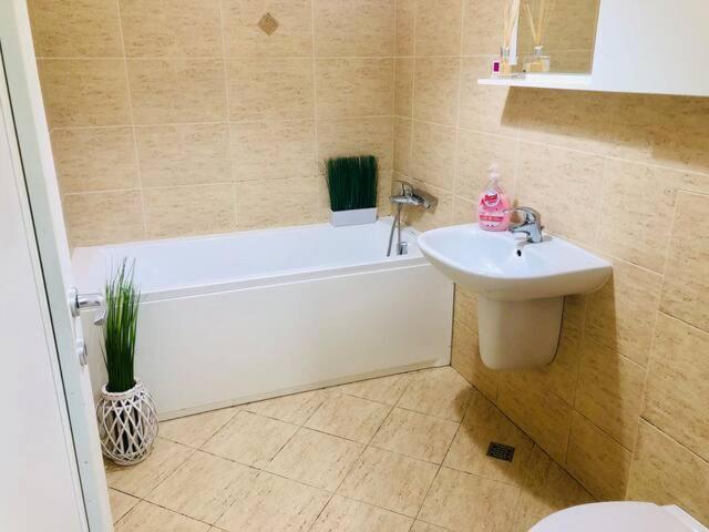 Joy City Stay Stefan Baciu 10 Brasov Ngoại thất bức ảnh